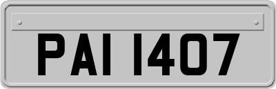 PAI1407