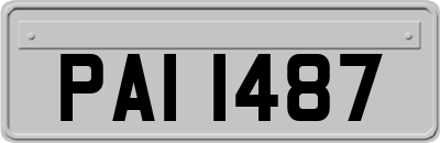 PAI1487