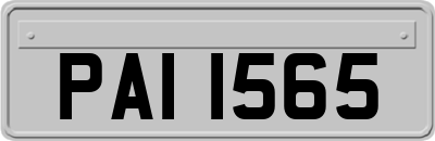PAI1565