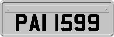 PAI1599