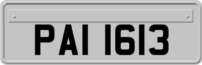 PAI1613