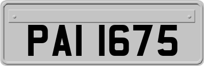 PAI1675