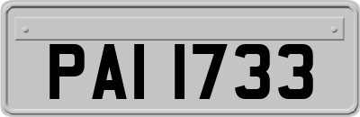 PAI1733