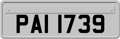 PAI1739