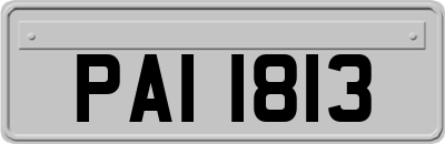 PAI1813