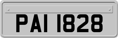 PAI1828