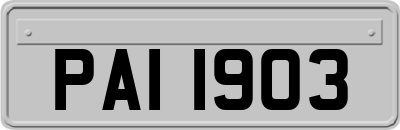 PAI1903