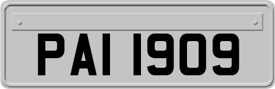 PAI1909