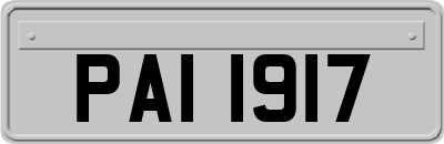 PAI1917