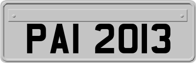 PAI2013