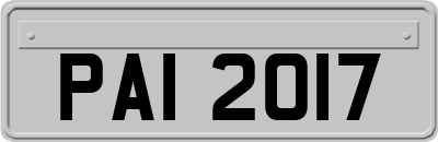 PAI2017