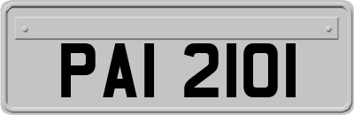 PAI2101