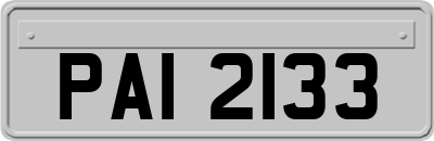 PAI2133