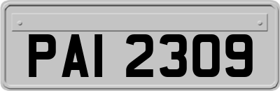 PAI2309
