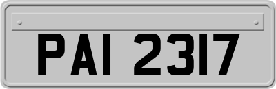 PAI2317