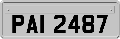 PAI2487