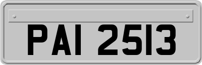 PAI2513