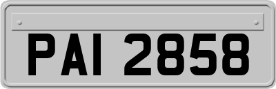 PAI2858
