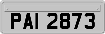 PAI2873