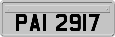 PAI2917