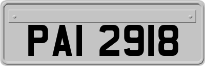 PAI2918