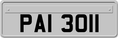 PAI3011