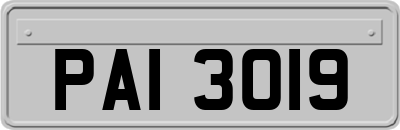 PAI3019