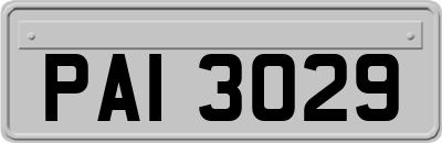 PAI3029