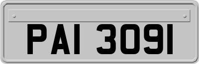 PAI3091