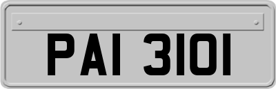 PAI3101