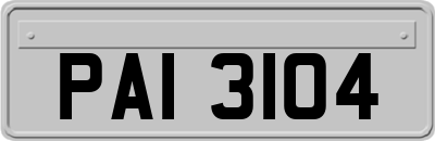 PAI3104