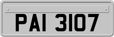 PAI3107