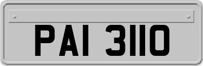PAI3110