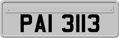 PAI3113