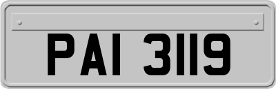 PAI3119