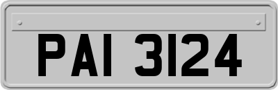 PAI3124