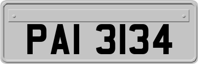 PAI3134