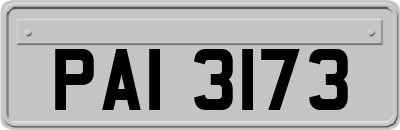 PAI3173