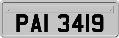 PAI3419