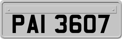 PAI3607