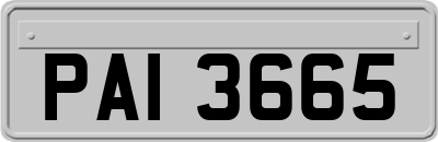 PAI3665