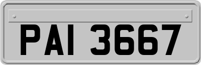PAI3667