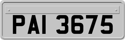 PAI3675