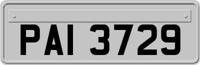 PAI3729