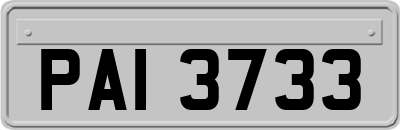 PAI3733