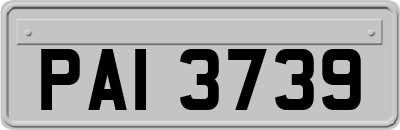 PAI3739