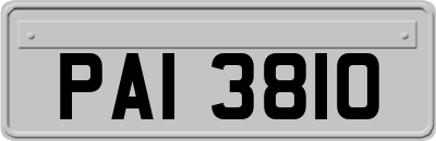 PAI3810