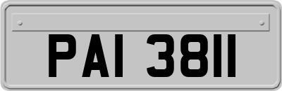 PAI3811