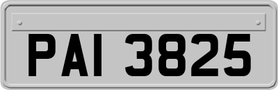 PAI3825