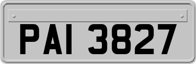 PAI3827